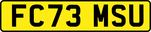 FC73MSU