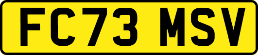 FC73MSV