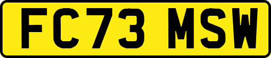 FC73MSW