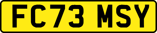 FC73MSY
