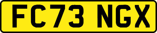 FC73NGX
