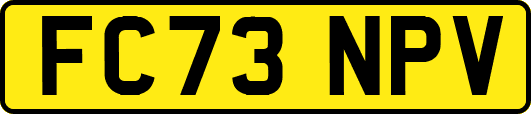 FC73NPV