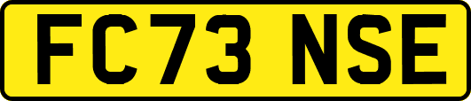 FC73NSE