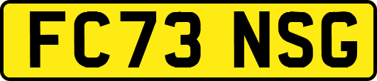 FC73NSG