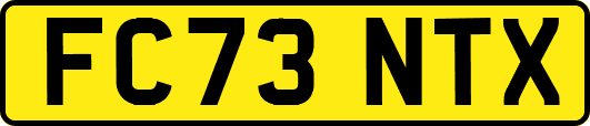FC73NTX