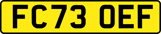 FC73OEF