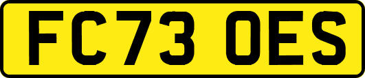 FC73OES