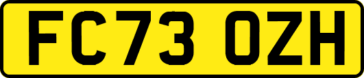 FC73OZH