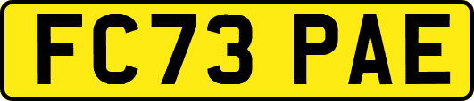 FC73PAE