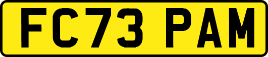 FC73PAM
