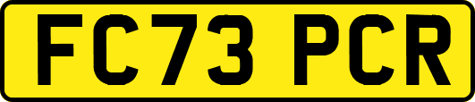 FC73PCR