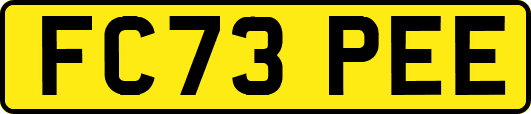FC73PEE
