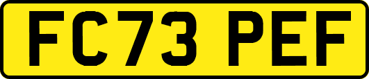 FC73PEF