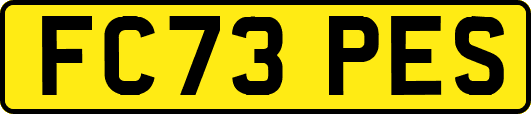 FC73PES