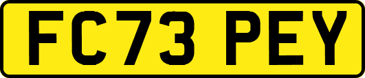 FC73PEY