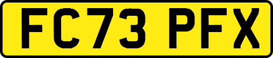 FC73PFX