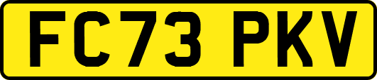 FC73PKV