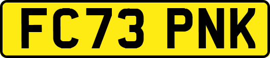 FC73PNK