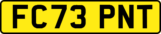FC73PNT