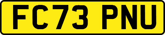 FC73PNU