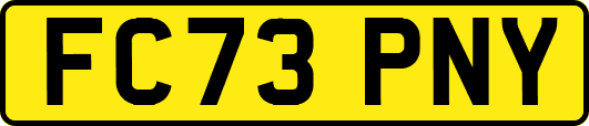 FC73PNY