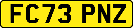 FC73PNZ