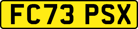FC73PSX