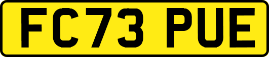 FC73PUE