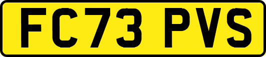 FC73PVS