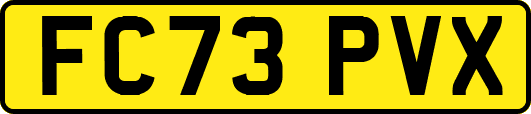FC73PVX