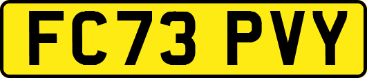 FC73PVY