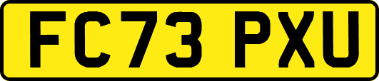 FC73PXU