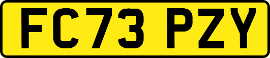 FC73PZY
