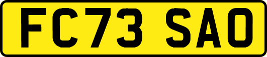 FC73SAO