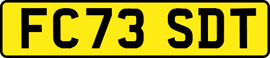 FC73SDT