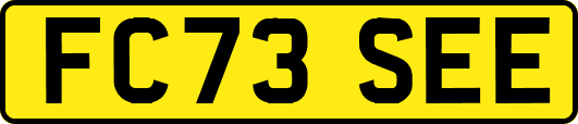FC73SEE
