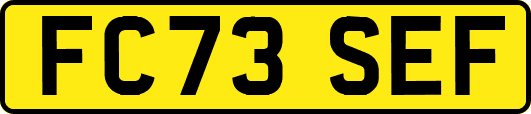 FC73SEF