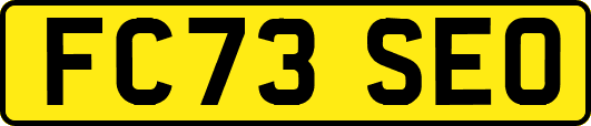FC73SEO