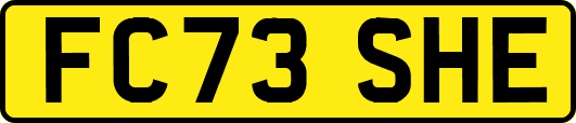 FC73SHE