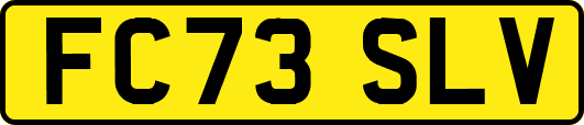 FC73SLV