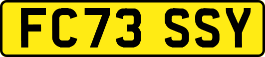 FC73SSY