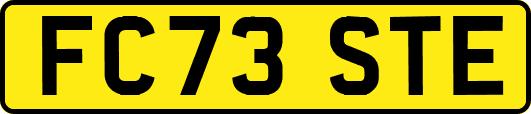FC73STE