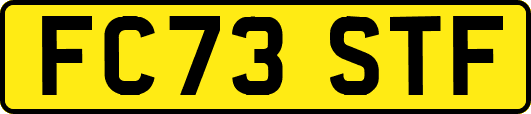 FC73STF