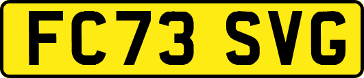 FC73SVG