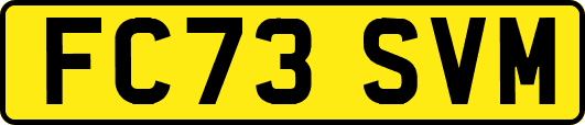 FC73SVM