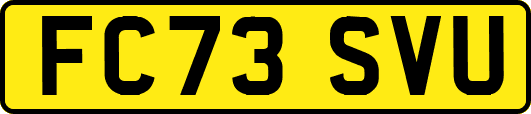 FC73SVU