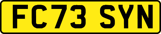 FC73SYN