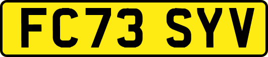 FC73SYV