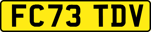 FC73TDV