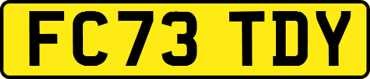 FC73TDY